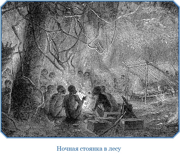 Иллюстрация к книге — В дебрях Африки [i_037.jpg]