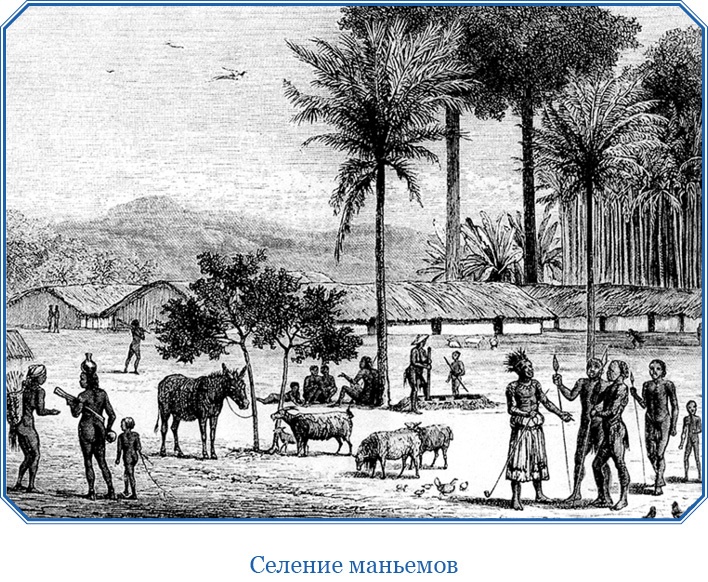 Иллюстрация к книге — В дебрях Африки [i_041.jpg]