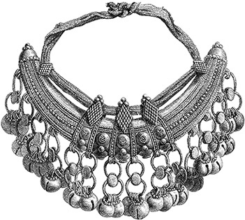 Иллюстрация к книге — В дебрях Африки [i_043.jpg]