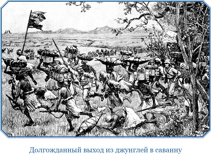 Иллюстрация к книге — В дебрях Африки [i_046.jpg]