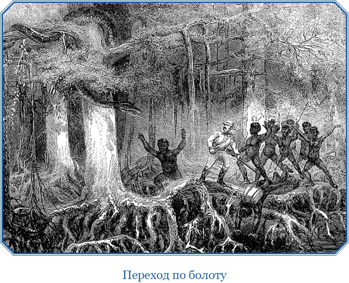 Иллюстрация к книге — В дебрях Африки [i_058.jpg]
