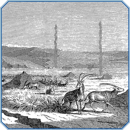 Иллюстрация к книге — В дебрях Африки [i_060.jpg]