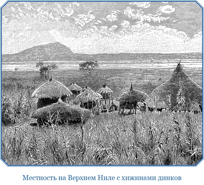 Иллюстрация к книге — В дебрях Африки [i_064.jpg]