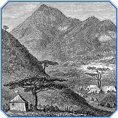 Иллюстрация к книге — В дебрях Африки [i_065.jpg]