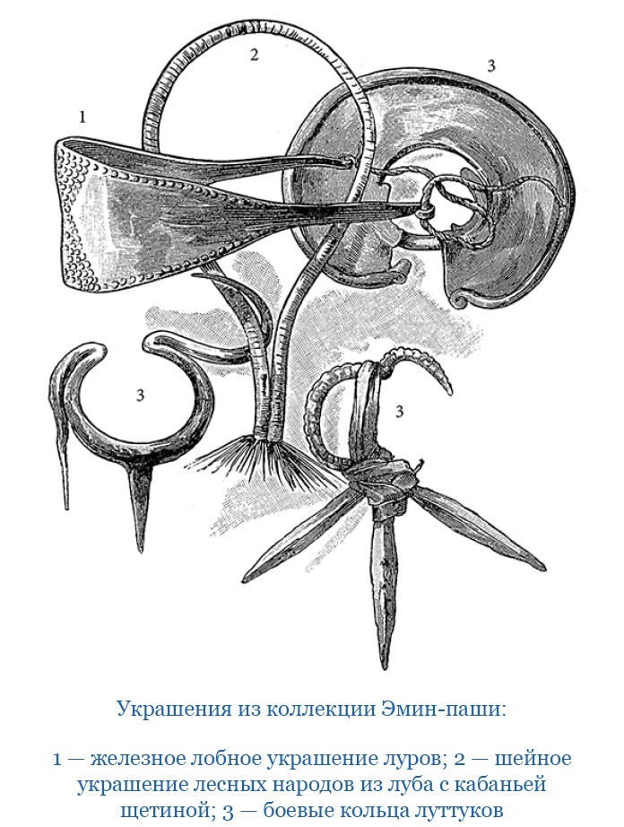 Иллюстрация к книге — В дебрях Африки [i_069.jpg]