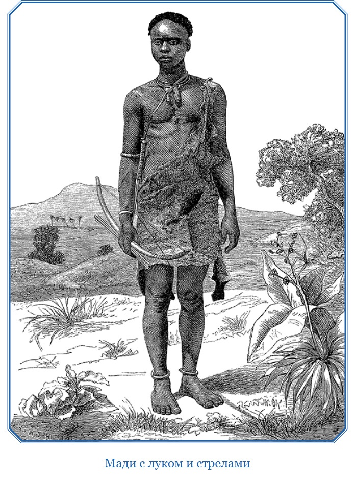 Иллюстрация к книге — В дебрях Африки [i_071.jpg]