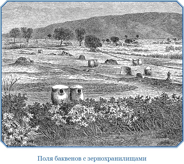 Иллюстрация к книге — В дебрях Африки [i_073.jpg]