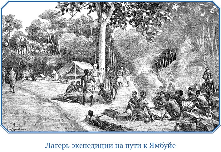 Иллюстрация к книге — В дебрях Африки [i_076.jpg]