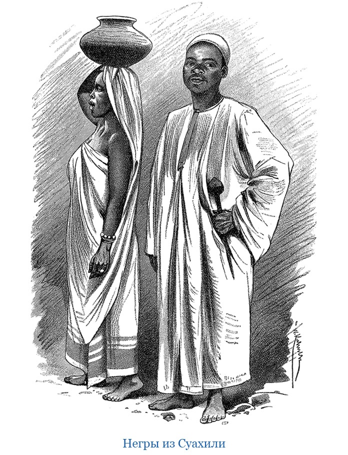 Иллюстрация к книге — В дебрях Африки [i_078.jpg]