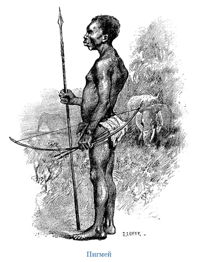 Иллюстрация к книге — В дебрях Африки [i_085.jpg]