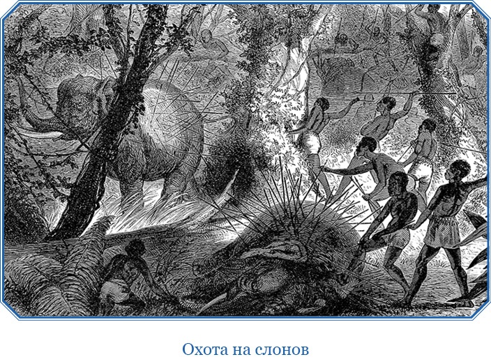 Иллюстрация к книге — В дебрях Африки [i_098.jpg]