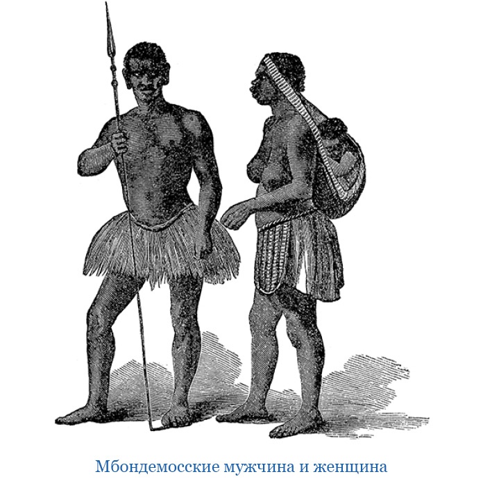 Иллюстрация к книге — В дебрях Африки [i_099.jpg]