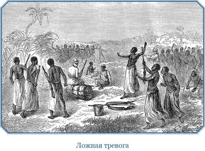 Иллюстрация к книге — В дебрях Африки [i_107.jpg]