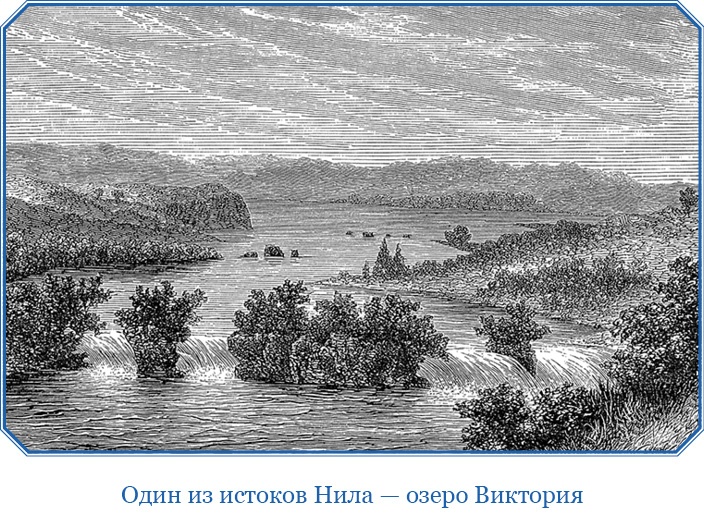 Иллюстрация к книге — В дебрях Африки [i_111.jpg]