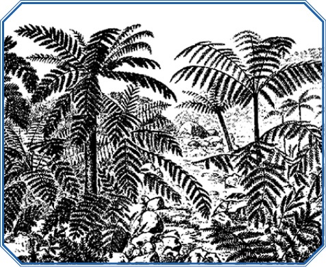 Иллюстрация к книге — В дебрях Африки [i_113.jpg]