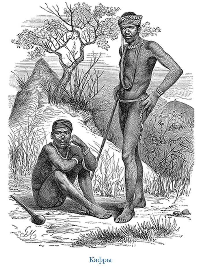 Иллюстрация к книге — В дебрях Африки [i_126.jpg]