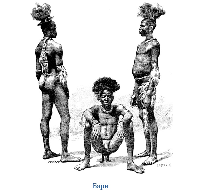 Иллюстрация к книге — В дебрях Африки [i_134.jpg]