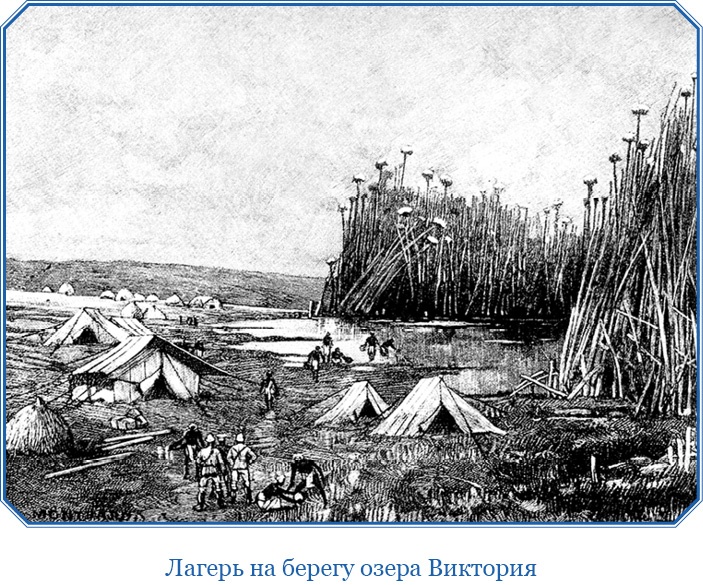 Иллюстрация к книге — В дебрях Африки [i_135.jpg]