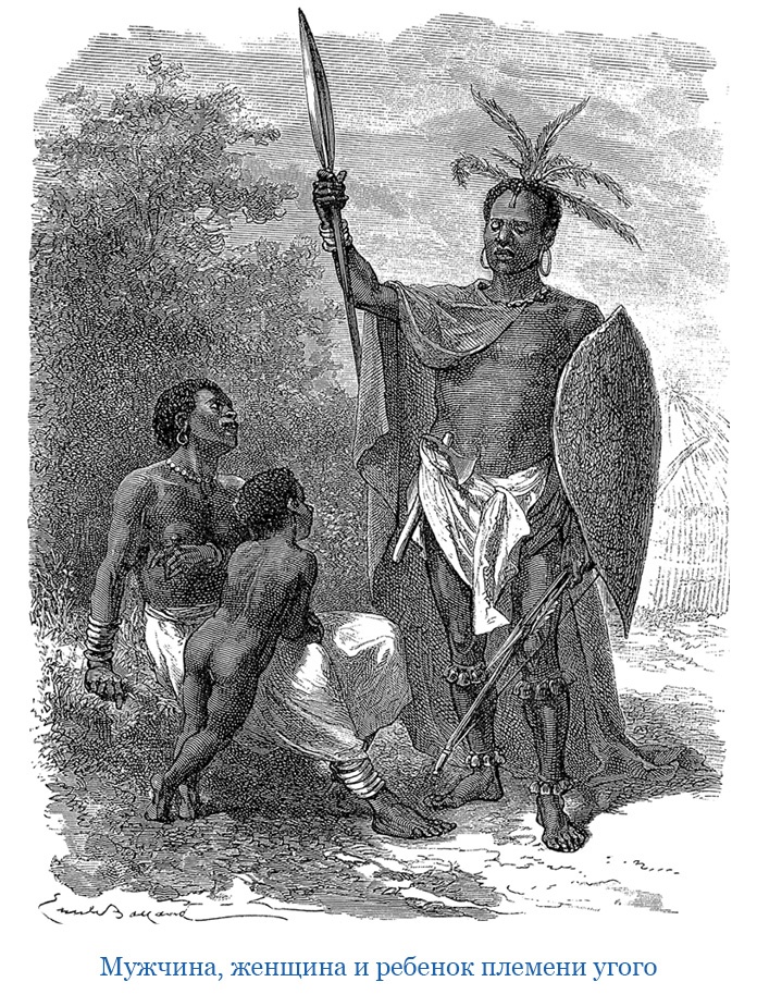 Иллюстрация к книге — В дебрях Африки [i_140.jpg]