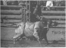 Иллюстрация к книге — Австралия - Terra Incognita. Когда звери еще были людьми [i_020.jpg]