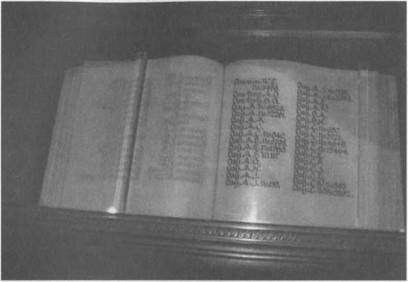 Иллюстрация к книге — Австралия - Terra Incognita. Когда звери еще были людьми [i_032.jpg]