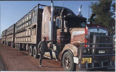 Иллюстрация к книге — Австралия - Terra Incognita. Когда звери еще были людьми [i_060.jpg]