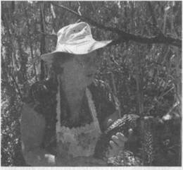 Иллюстрация к книге — Австралия - Terra Incognita. Когда звери еще были людьми [i_077.jpg]