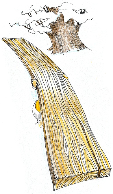 Иллюстрация к книге — Хрустальный ключ, или Жили-были мы [i_083.jpg]