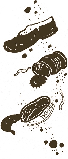 Иллюстрация к книге — Записки для моих потомков [i_013.jpg]