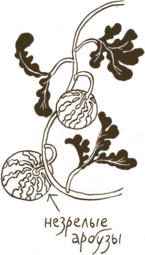 Иллюстрация к книге — Записки для моих потомков [i_023.jpg]