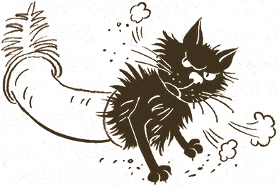 Иллюстрация к книге — Записки для моих потомков [i_062.jpg]