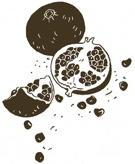 Иллюстрация к книге — Записки для моих потомков [i_070.jpg]