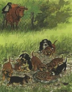 Иллюстрация к книге — Мама My на дереве [i_014.jpg]