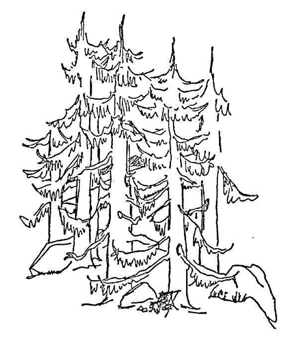 Иллюстрация к книге — Моя сторона горы [i_006.jpg]