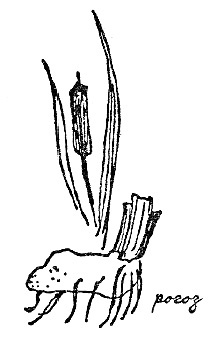 Иллюстрация к книге — Моя сторона горы [i_019.jpg]