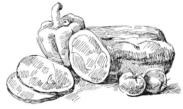 Иллюстрация к книге — Подарок молодым хозяйкам, или Средство к уменьшению расходов в домашнем хозяйстве [i_007.jpg]