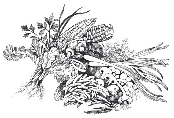 Иллюстрация к книге — Подарок молодым хозяйкам, или Средство к уменьшению расходов в домашнем хозяйстве [i_033.jpg]