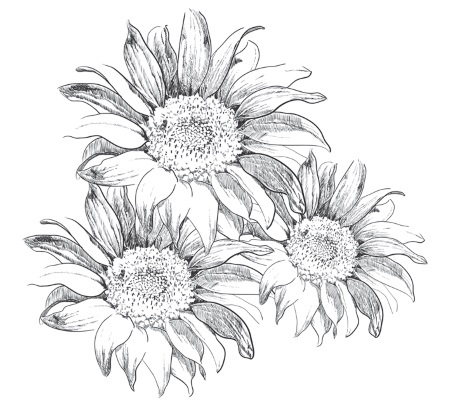 Иллюстрация к книге — Подарок молодым хозяйкам, или Средство к уменьшению расходов в домашнем хозяйстве [i_068.jpg]