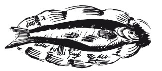 Иллюстрация к книге — Подарок молодым хозяйкам, или Средство к уменьшению расходов в домашнем хозяйстве [i_106.jpg]