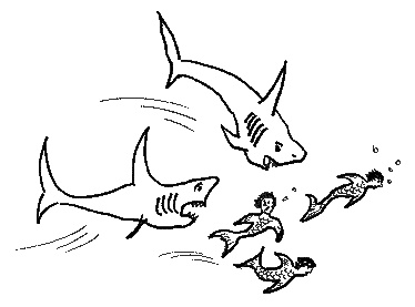 Иллюстрация к книге — Два мудреца в одном тазу... [i_030.jpg]