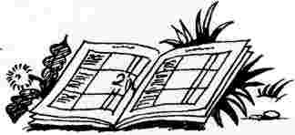 Иллюстрация к книге — У нас в 5 &quot;Б&quot; [i_009.jpg]