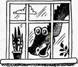 Иллюстрация к книге — У нас в 5 &quot;Б&quot; [i_014.jpg]