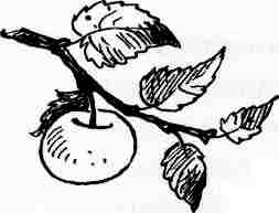 Иллюстрация к книге — У нас в 5 &quot;Б&quot; [i_020.jpg]