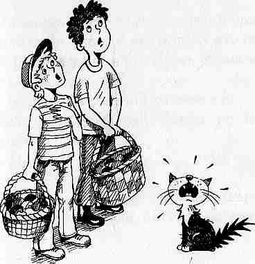 Иллюстрация к книге — У нас в 5 &quot;Б&quot; [i_029.jpg]