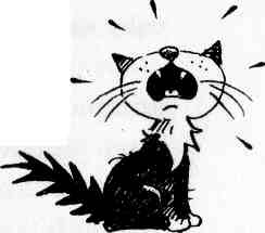 Иллюстрация к книге — У нас в 5 &quot;Б&quot; [i_042.jpg]