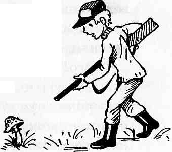 Иллюстрация к книге — У нас в 5 &quot;Б&quot; [i_053.jpg]