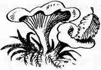 Иллюстрация к книге — У нас в 5 &quot;Б&quot; [i_055.jpg]