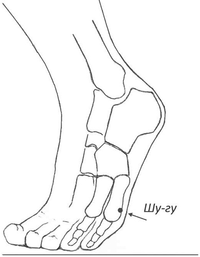 Иллюстрация к книге — Секреты восточной медицины. Чудо исцеления своими руками [i_004.jpg]