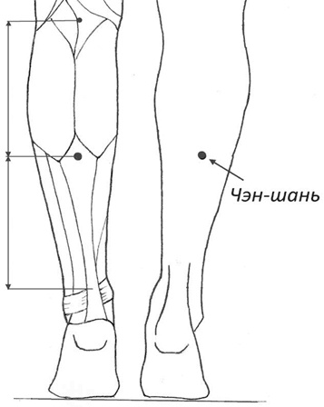 Иллюстрация к книге — Секреты восточной медицины. Чудо исцеления своими руками [i_005.jpg]