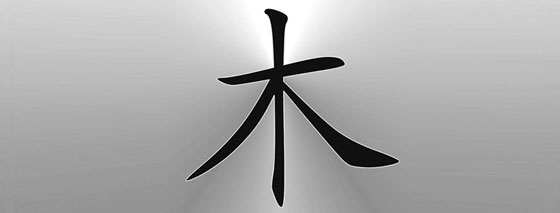 Иллюстрация к книге — Секреты восточной медицины. Чудо исцеления своими руками [i_069.jpg]